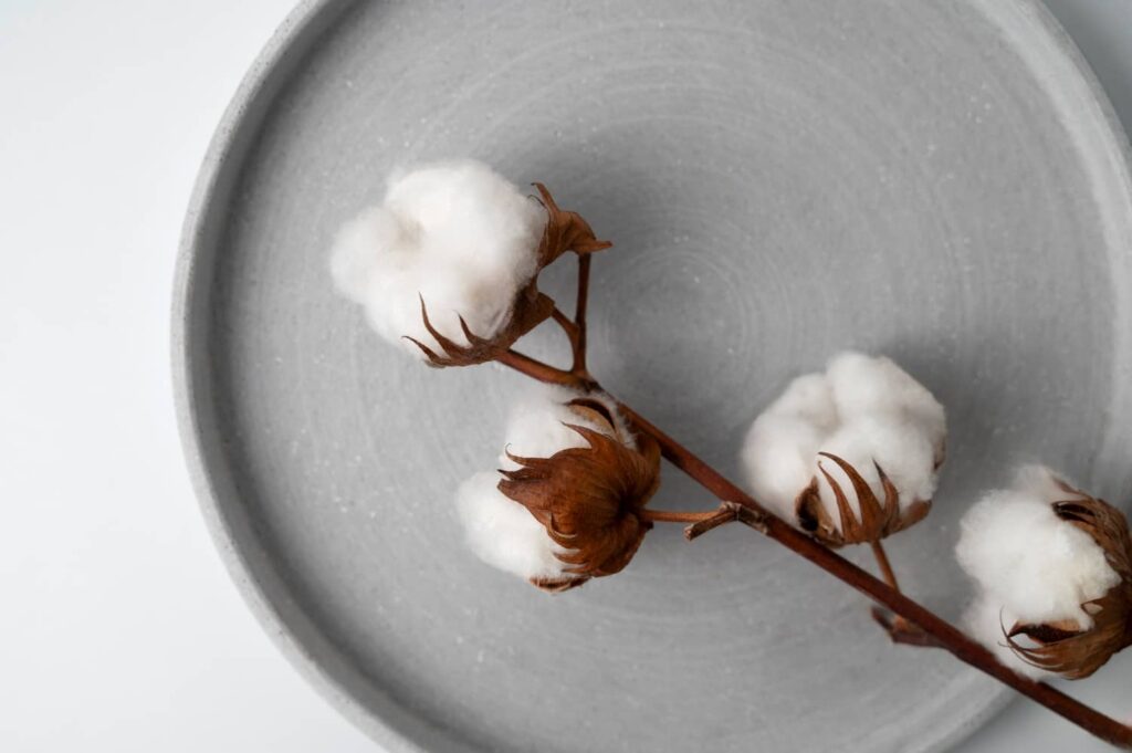 momment cocooning illustré par une branche de coton